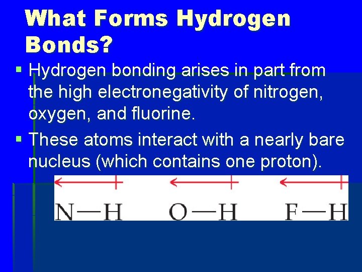 What Forms Hydrogen Bonds? § Hydrogen bonding arises in part from the high electronegativity