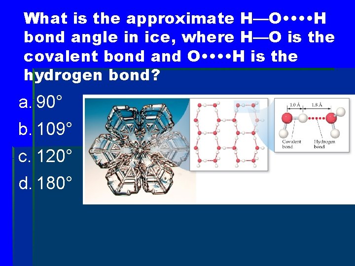 What is the approximate H—O • • H bond angle in ice, where H—O