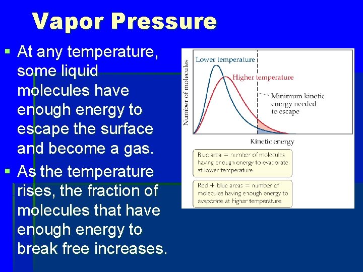 Vapor Pressure § At any temperature, some liquid molecules have enough energy to escape