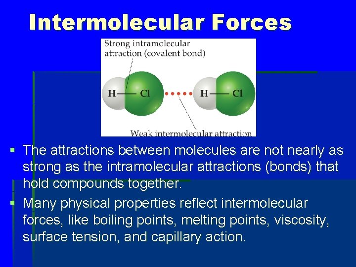 Intermolecular Forces § The attractions between molecules are not nearly as strong as the