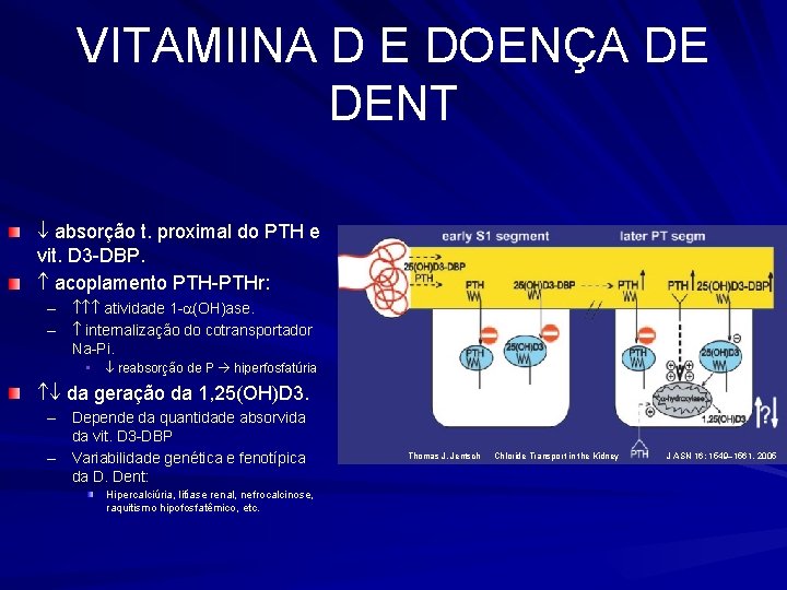 VITAMIINA D E DOENÇA DE DENT absorção t. proximal do PTH e vit. D