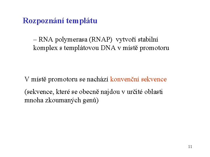 Rozpoznání templátu – RNA polymerasa (RNAP) vytvoří stabilní komplex s templátovou DNA v místě