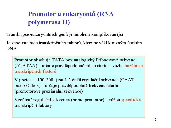 Promotor u eukaryontů (RNA polymerasa II) Transkripce eukaryontních genů je mnohem komplikovanější Je zapojena