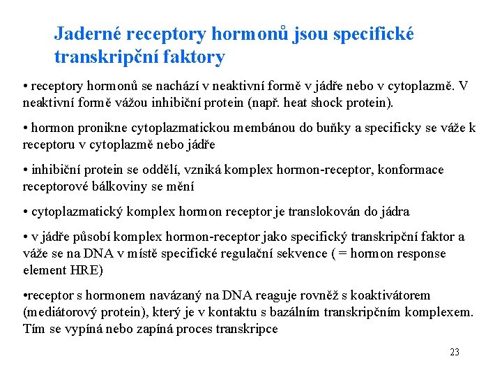 Jaderné receptory hormonů jsou specifické transkripční faktory • receptory hormonů se nachází v neaktivní