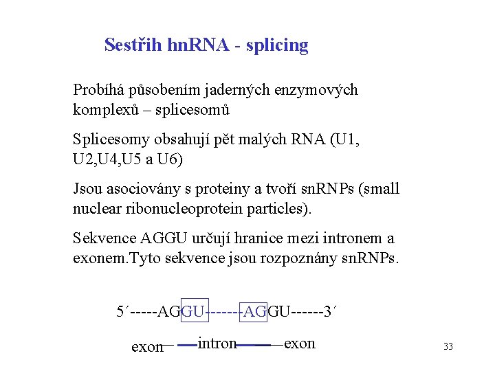 Sestřih hn. RNA - splicing Probíhá působením jaderných enzymových komplexů – splicesomů Splicesomy obsahují