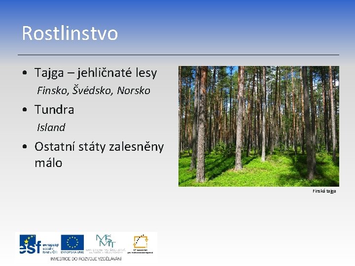 Rostlinstvo • Tajga – jehličnaté lesy Finsko, Švédsko, Norsko • Tundra Island • Ostatní