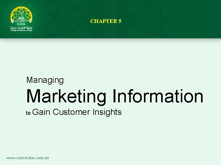 CHAPTER 5 Managing Marketing Information to Gain Customer Insights 