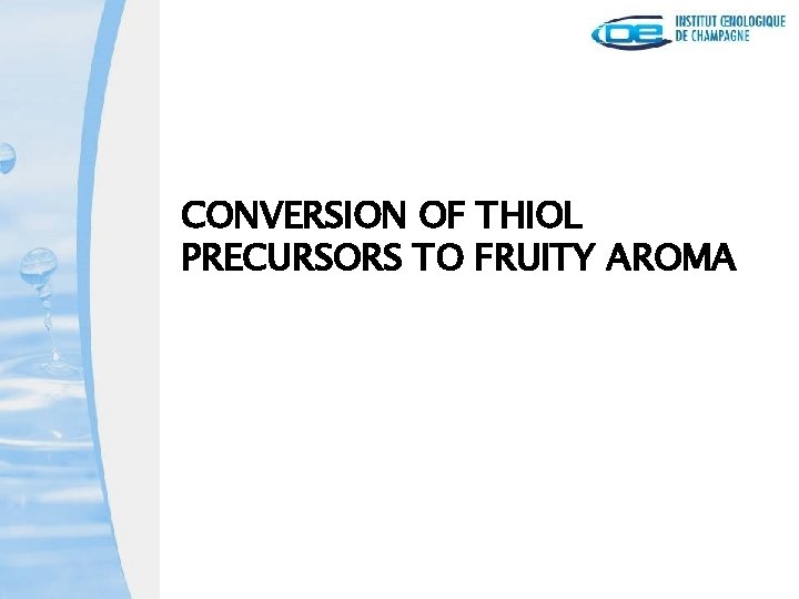 CONVERSION OF THIOL PRECURSORS TO FRUITY AROMA 