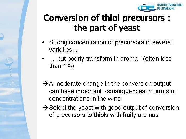 Conversion of thiol precursors : the part of yeast • Strong concentration of precursors
