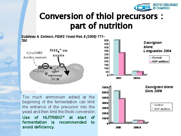 Conversion of thiol precursors : part of nutrition Subileau & Salmon, FEMS Yeast Res
