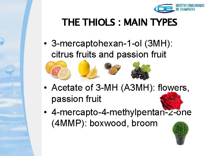 THE THIOLS : MAIN TYPES • 3 -mercaptohexan-1 -ol (3 MH): citrus fruits and