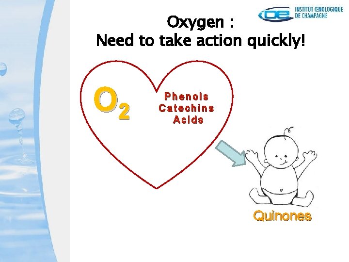 Oxygen : Need to take action quickly! O 2 Phenols Catechins Acids Quinones 