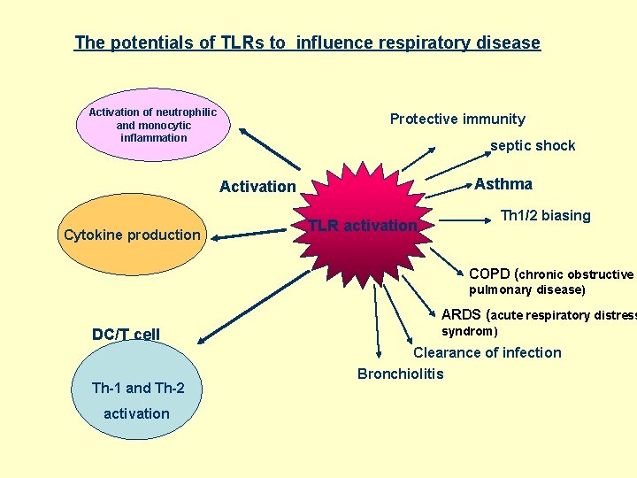 The potentials of TLRs to influence respiratory disease Activation of neutrophilic and monocytic inflammation
