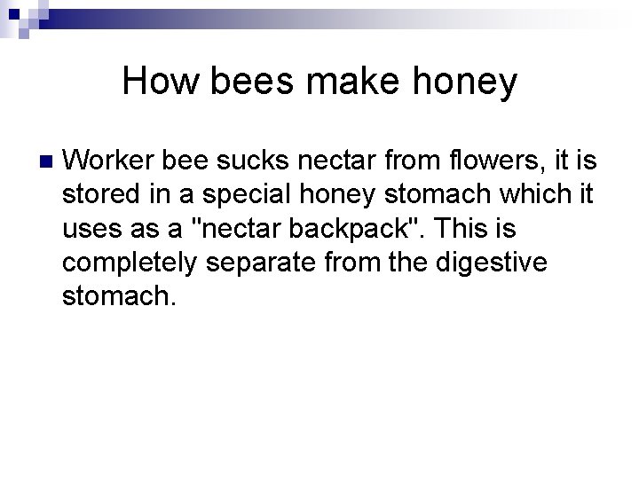 How bees make honey n Worker bee sucks nectar from flowers, it is stored