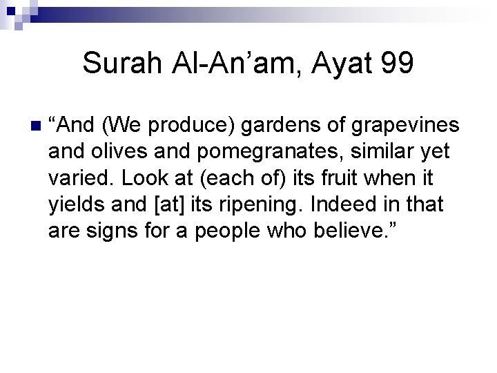 Surah Al-An’am, Ayat 99 n “And (We produce) gardens of grapevines and olives and