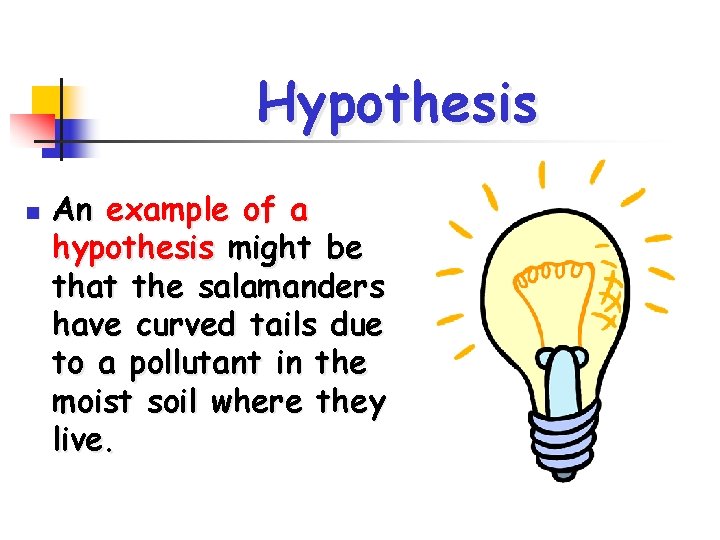 Hypothesis n An example of a hypothesis might be that the salamanders have curved