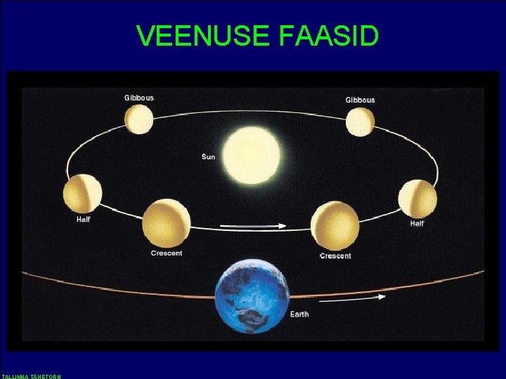 VEENUSE FAASID 