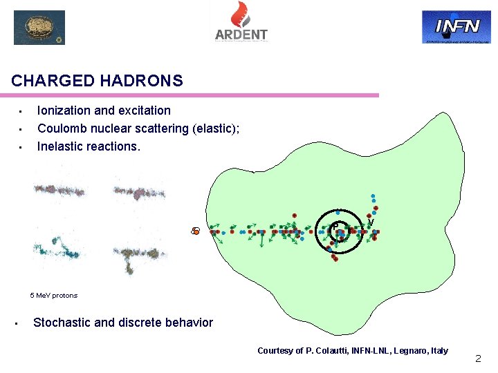 CHARGED HADRONS • • • Ionization and excitation Coulomb nuclear scattering (elastic); Inelastic reactions.