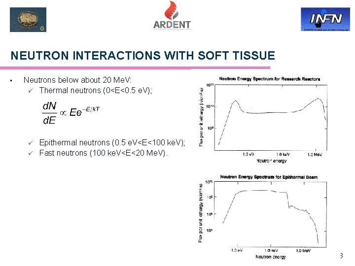 NEUTRON INTERACTIONS WITH SOFT TISSUE • Neutrons below about 20 Me. V: ü Thermal