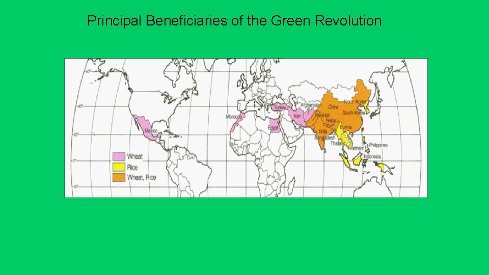 Principal Beneficiaries of the Green Revolution 