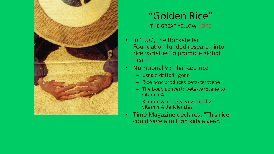 “Golden Rice” THE GREAT YELLOW HOPE • In 1982, the Rockefeller Foundation funded research