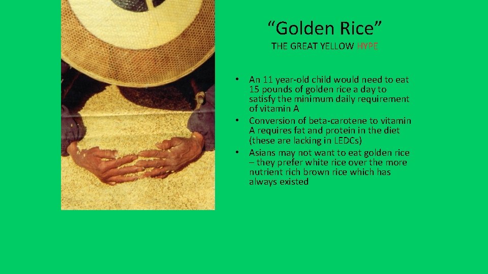 “Golden Rice” THE GREAT YELLOW HYPE • An 11 year-old child would need to