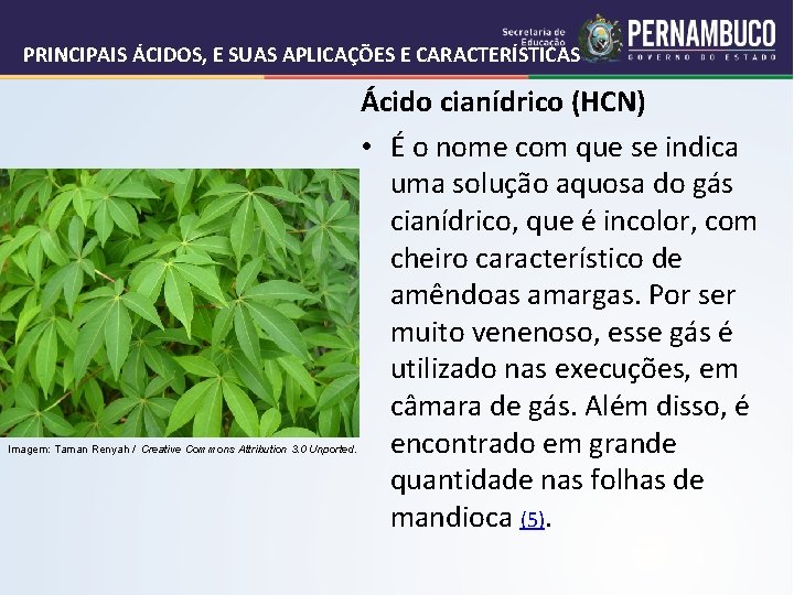 PRINCIPAIS ÁCIDOS, E SUAS APLICAÇÕES E CARACTERÍSTICAS Imagem: Taman Renyah / Creative Commons Attribution