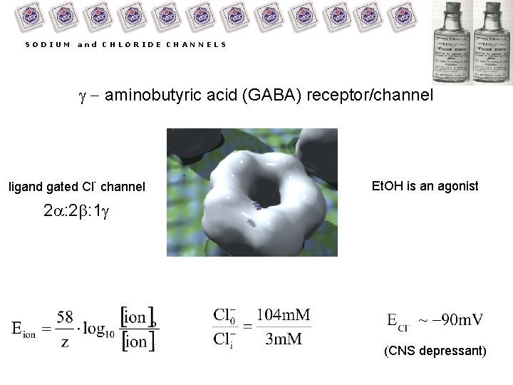 SODIUM and CHLORIDE CHANNELS g - aminobutyric acid (GABA) receptor/channel ligand gated Cl- channel