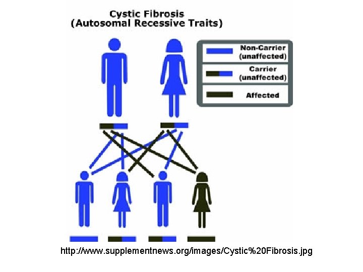 http: //www. supplementnews. org/images/Cystic%20 Fibrosis. jpg 