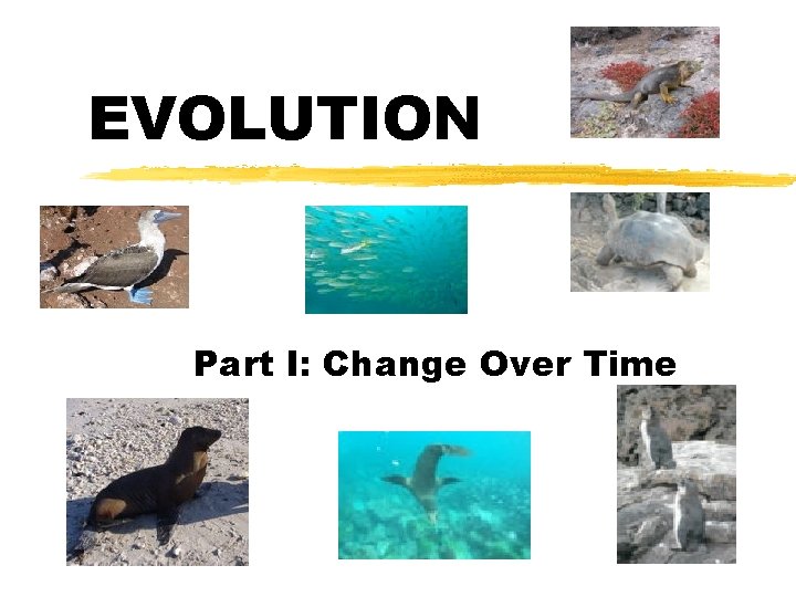 EVOLUTION Part I: Change Over Time 