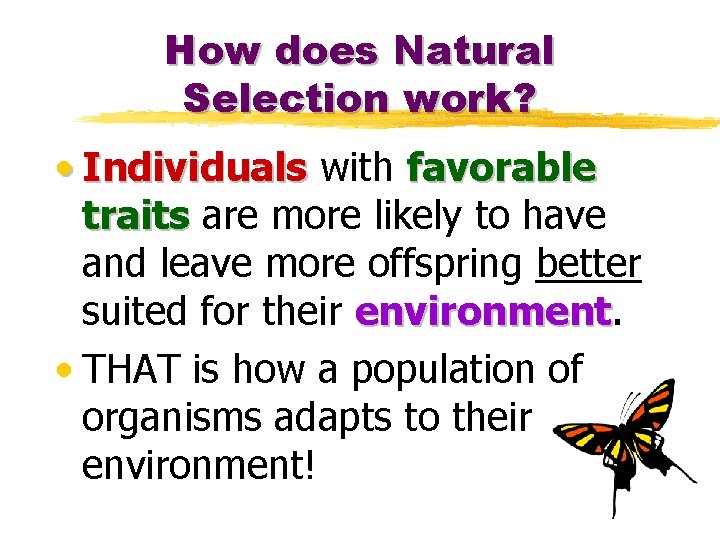 How does Natural Selection work? • Individuals with favorable traits are more likely to