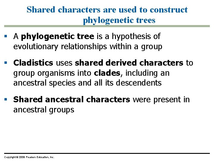 Shared characters are used to construct phylogenetic trees A phylogenetic tree is a hypothesis