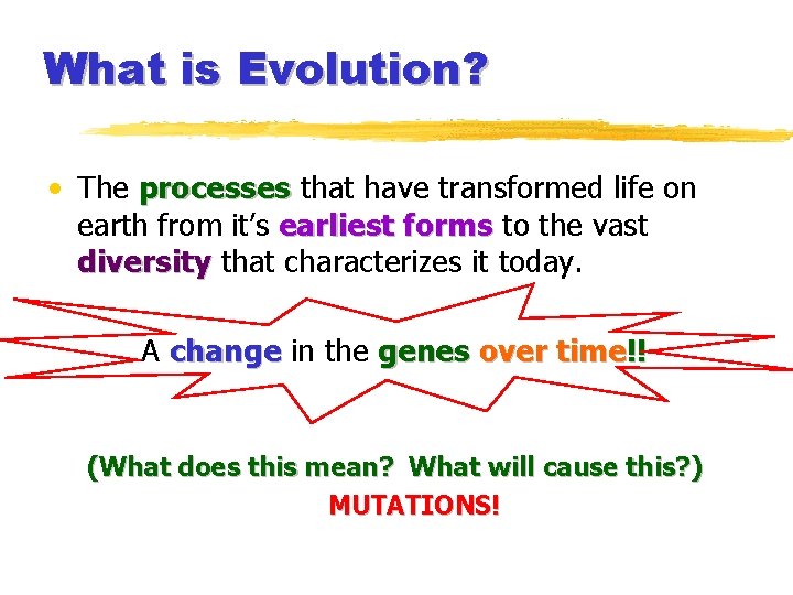 What is Evolution? • The processes that have transformed life on earth from it’s
