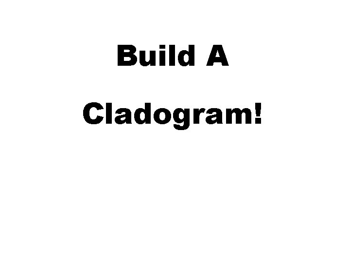 Build A Cladogram! 