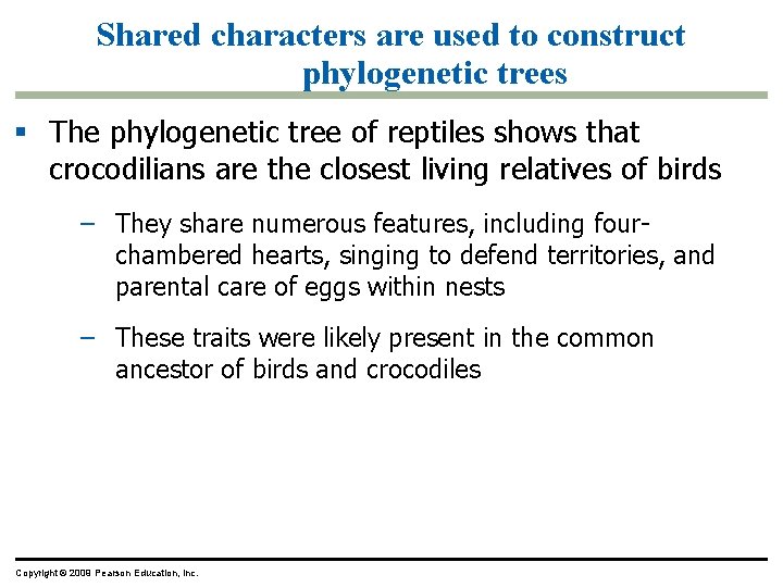 Shared characters are used to construct phylogenetic trees The phylogenetic tree of reptiles shows