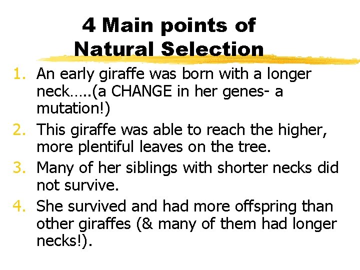 4 Main points of Natural Selection 1. An early giraffe was born with a