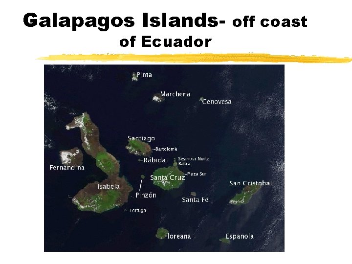 Galapagos Islandsof Ecuador off coast 