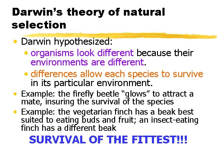 Darwin’s theory of natural selection • Darwin hypothesized: • organisms look different because their