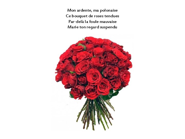 Mon ardente, ma polonaise Ce bouquet de roses tendues Par-delà la foule mauvaise Marie