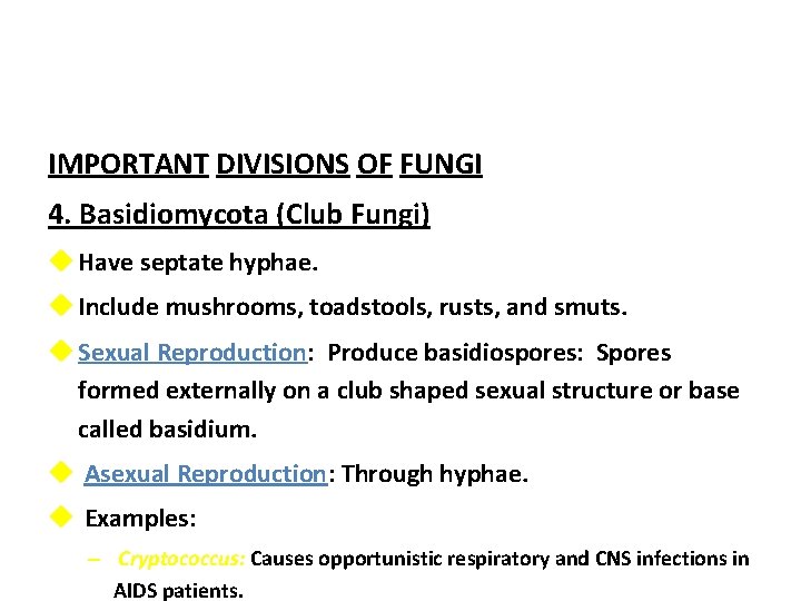Fungi Algae Protozoa And Parasites Subject Pharmaceutical Microbiology