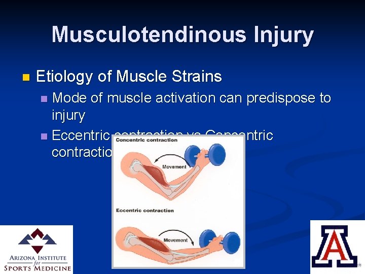 Musculotendinous Injury n Etiology of Muscle Strains Mode of muscle activation can predispose to