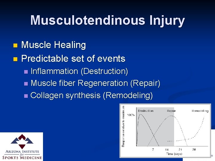 Musculotendinous Injury Muscle Healing n Predictable set of events n Inflammation (Destruction) n Muscle