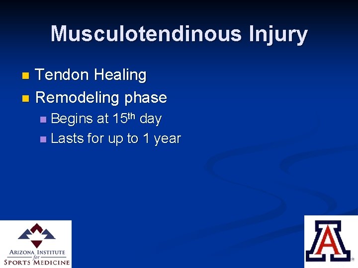 Musculotendinous Injury Tendon Healing n Remodeling phase n Begins at 15 th day n