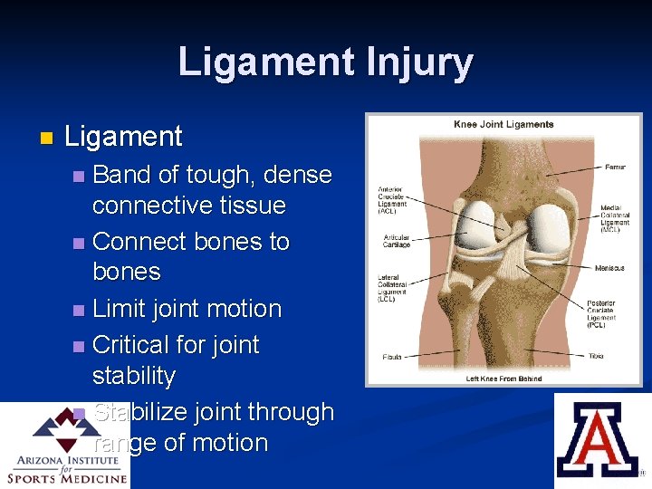 Ligament Injury n Ligament Band of tough, dense connective tissue n Connect bones to