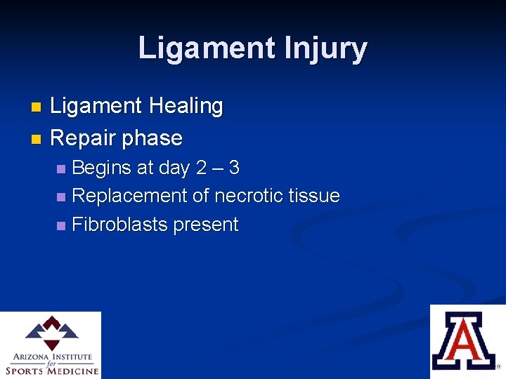 Ligament Injury Ligament Healing n Repair phase n Begins at day 2 – 3