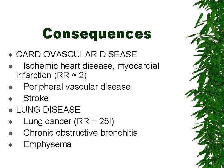 Consequences CARDIOVASCULAR DISEASE Ischemic heart disease, myocardial infarction (RR ≈ 2) Peripheral vascular disease
