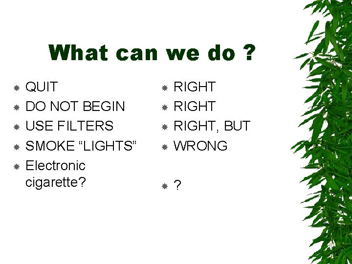 What can we do ? QUIT DO NOT BEGIN USE FILTERS SMOKE “LIGHTS” Electronic