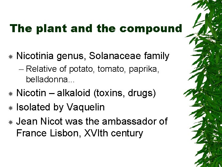 The plant and the compound Nicotinia genus, Solanaceae family – Relative of potato, tomato,