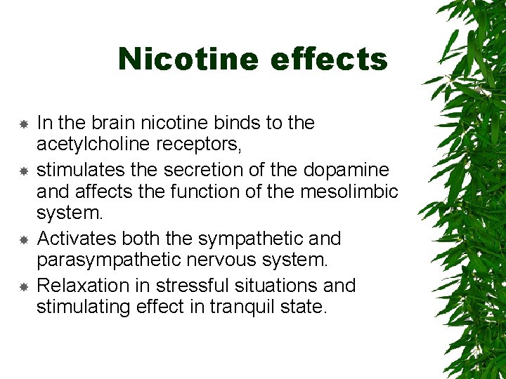 Nicotine effects In the brain nicotine binds to the acetylcholine receptors, stimulates the secretion