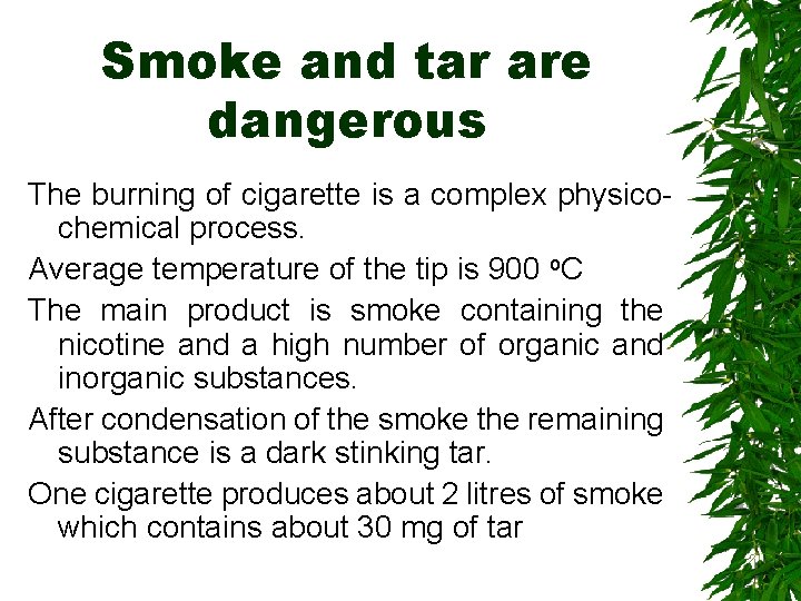 Smoke and tar are dangerous The burning of cigarette is a complex physicochemical process.
